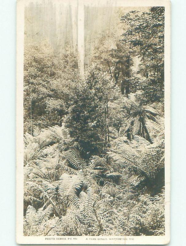 old rppc NICE VIEW Warburton - Victoria Australia i3070