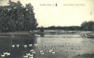 Little Robin Duck Farm in Vineland, New Jersey