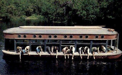 Glass Bottom Boats - Silver Springs, Florida FL