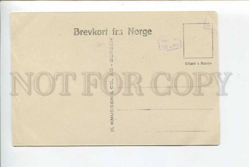 424248 NORWAY 1906 year BERGEN Vintage Knudsen photo postcard
