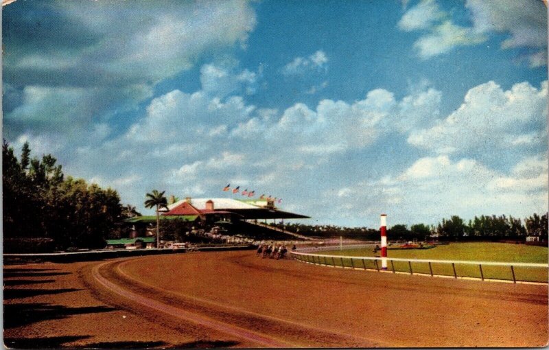 Hialeah Race Course Florida FL Blue Sky Postcard UNP VTG Unused Vintage Chrome 