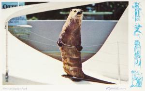 Otter at Stanley Park Vancouver BC Wildlife Marine Animals Vintage Postcard D32