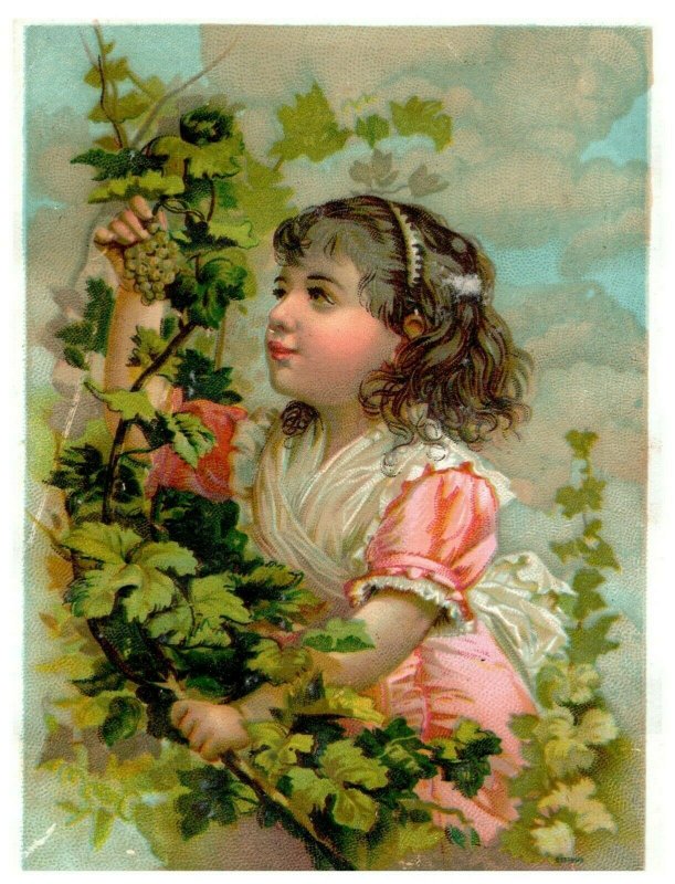 1880's Set of 4 Fab Adorable Kids Grapes Bird Parasol Victorian Trade Cards *M