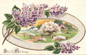 Vintage Postcard 1910's Sincere Greetings Cherry Blossoms Landscape Card