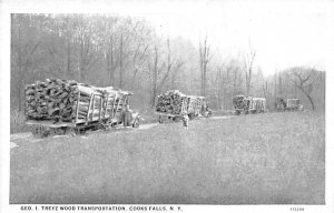 Transportation of Wood Geo I Treyz - Cooks Falls, New York NY  