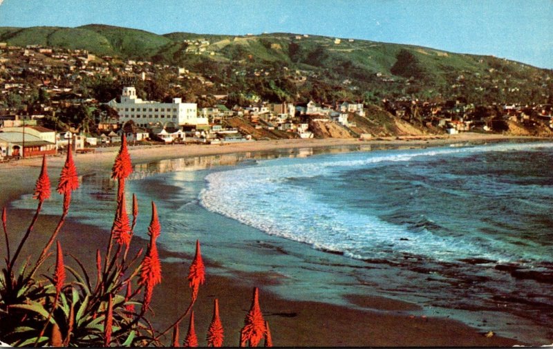 California Laguna Beach At Christmastime Beach Scene 1956