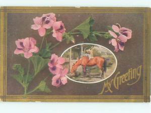 Divided-Back HORSE SCENE Great Postcard AA9387