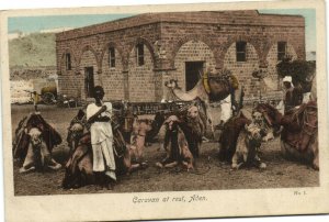 PC YEMEN, ADEN, CARAVAN AT REST, Vintage Postcard (b30290)