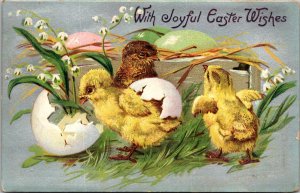 Chicks Hatching, With Joyful Easter Wishes Tuck 112 Vintage Postcard Z07