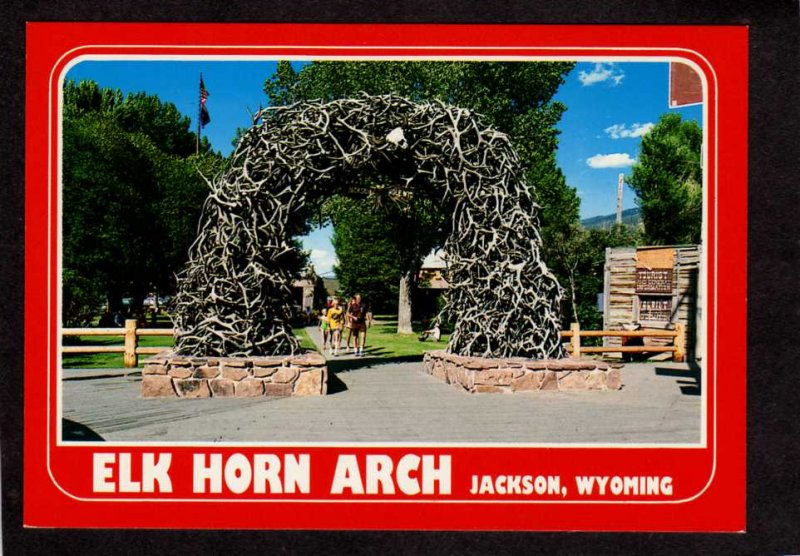 WY Elk Horn Arch Jackson Hole Wyoming Postcard Moose Horns Animals