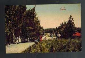 Vintage Mint Palestine Picture Postcard Gedera Roadside View