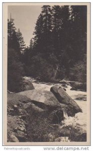 RP: Scenic View River Rapids Flowing Through Forrest, 1904-1918