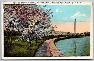 Vtg Washington DC Japanese Cherry Blossoms Riverside Drive Potomac Park Postcard