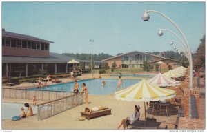 The Motor House Pool,  Williamsburg,  Virginia,  40-60s