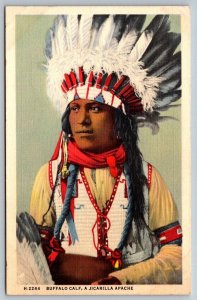 Fred Harvey  New Mexico Postcard -  Native American Indian  Buffalo Calf  Apache