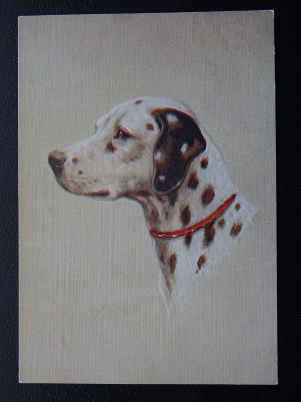 Dog Portrait THE DALMATIAN - Old Postcard by De Reszke