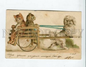 3160833 KITTENS Cat Carriage TERRIER Dog Old RPPC POST OFFICE