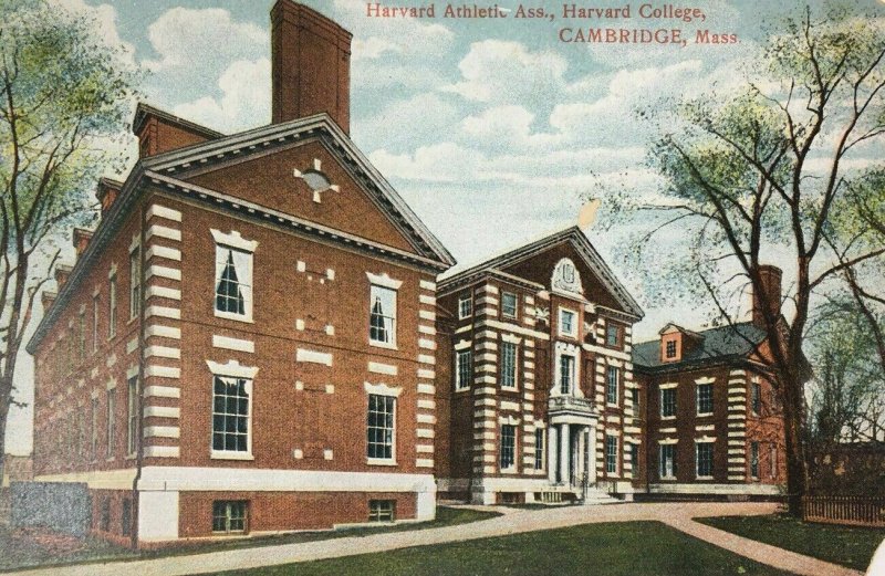 Harvard Athletic Association College Cambridge MA Postcard