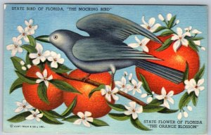 Florida State Symbols, Mocking Bird, Orange Blossom, Vintage Linen Postcard #2