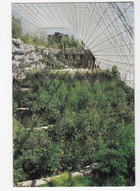 Biosphere 2 1991 Marsh Transition Between Land and Sea Oracle Arizona  4 by 6