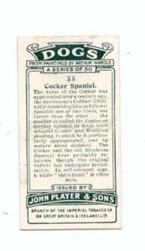 166930 COCKER SPANIEL WARDLE Player CIGARETTE card ADVERTISING