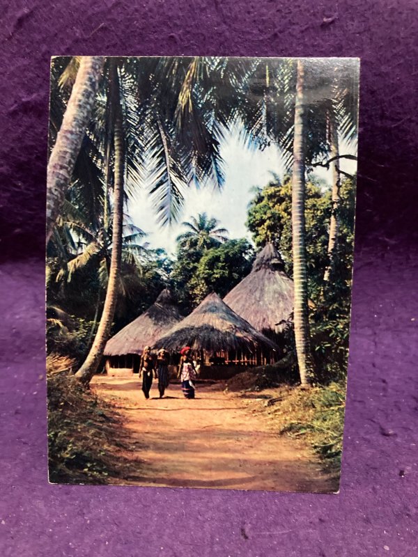 Africa Village under the Palm trees unposted