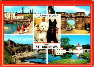 St Andrews, Scotland  SCOTTY DOGS~STUDENTS WALK~WEST PORT~CASTLE+  4X6 Postcard