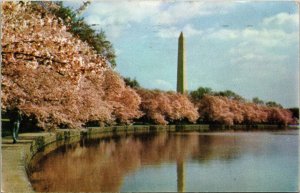 The Washington Monument Washington DC Postcard PC89