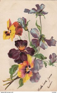 Pansy flowers , 00-10s