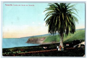 c1910 Tree View North Coast of Tenerife Spain Antique Unposted Postcard