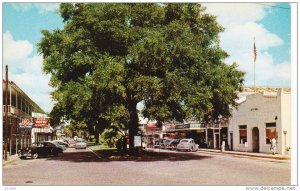 Street view , Downtown , ZEPHYR HILLS , Florida , 40-50s