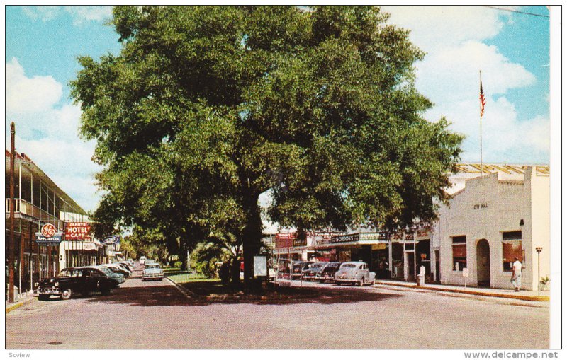 Street view , Downtown , ZEPHYR HILLS , Florida , 40-50s