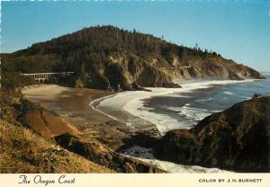 Devils Elbow State Park Oregon Coast Cape Creek Bridge Sea Lion Caves Postcard