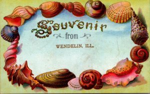 Illinois Wendelin Souvenir With Shell Border