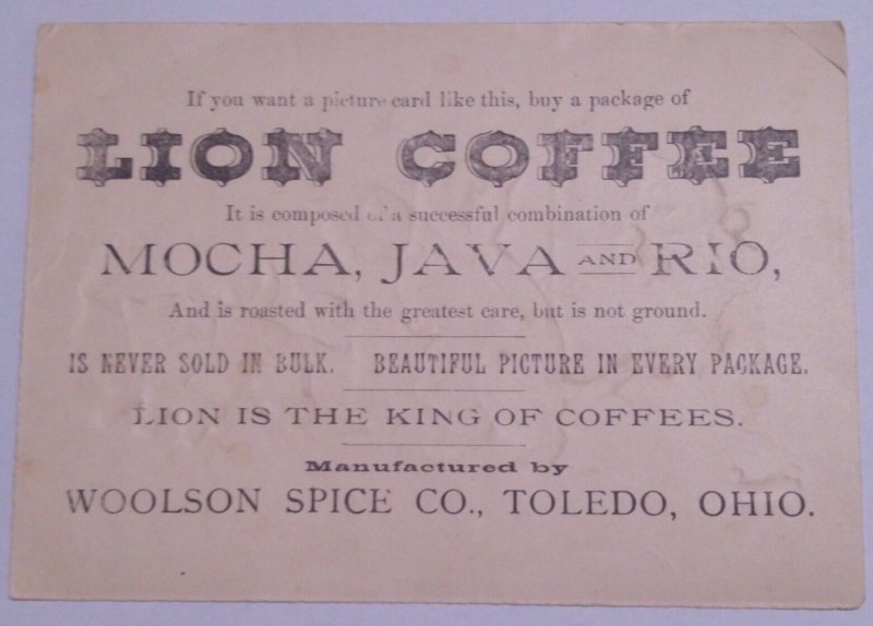 1880s Licon Coffee Anthropomorphic Cats Departure Toledo OH Victorian Trade Card