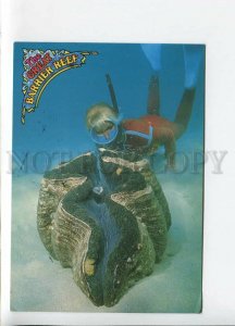 435663 Diver at the Great Barrier Reef Australia 1988 year RPPC to SWEDEN