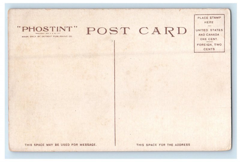 c1920 Rogers Slide on Lake George New York NY Unposted Antique Phostint Postcard 