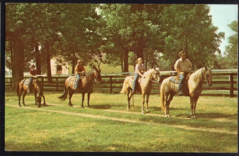 Kentucky LEXINGTON Horse Back Riding, Kentucky State Horse Park Chrome