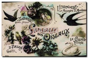 Old Postcard Fancy Bird Language Swallow Dove Swan Finch