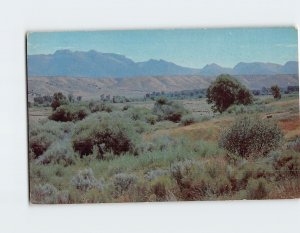 B-203455 Typical summer view of the Ruby Mountains Nevada USA