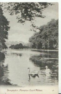 Middlesex Postcard - Longwater - Hampton Court Palace - Ref TZ9480