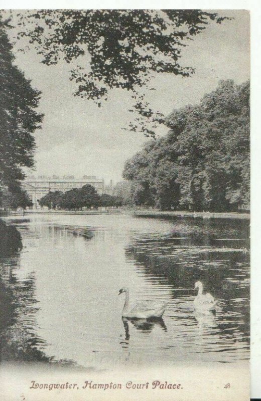 Middlesex Postcard - Longwater - Hampton Court Palace - Ref TZ9480