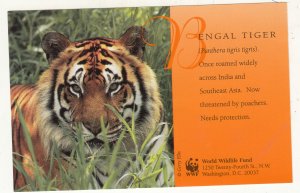 P3256 vintage postcard WWF world wildlife fund endangered bengal  tiger