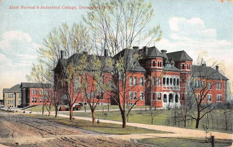 Greensboro North Carolina Normal Industrial College Antique Postcard K38807