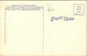 University Chicago Campus IL Illinois Linen Postcard VTG UNP Unused Vintage 