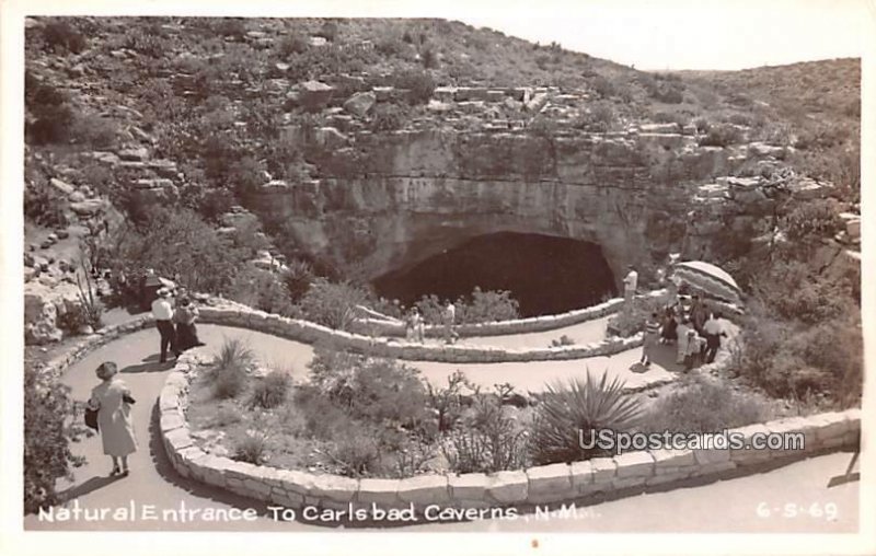 Natural Entrance in Carlsbad Caverns, New Mexico