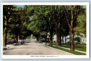 Wolcott New York Postcard West Main Street Trees Road Classic Cars 1918 Vintage