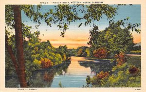 River Pigeon River, North Carolina NC Postcard