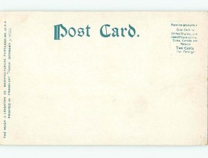 Unused Pre-1907 RUSTIC BRIDGE AT CHOCORUA LAKE Chocorua Lake NH t3414