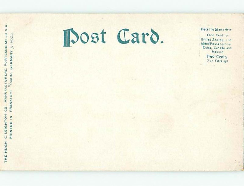 Unused Pre-1907 RUSTIC BRIDGE AT CHOCORUA LAKE Chocorua Lake NH t3414